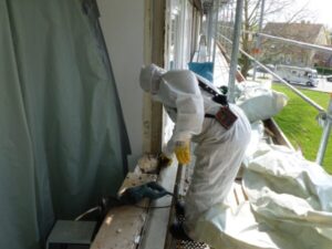 asbestos-containing kit for window removal