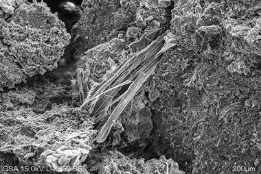 Mikroskopbild Asbestfasern