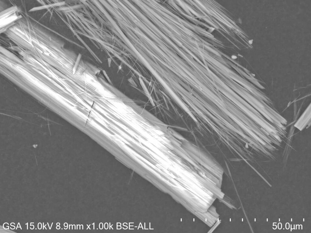 Asbestos types Tremolite fibers SEM image